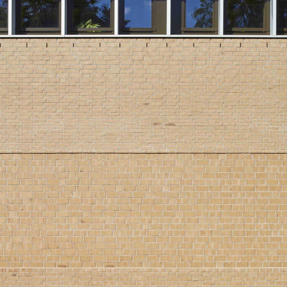 Schule und Sporthalle in Hamburg mit Strangpress-Verblend-Ziegel von FaBö
