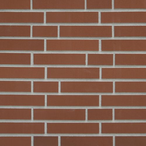 Rotbunte Riemchen, gebürstet