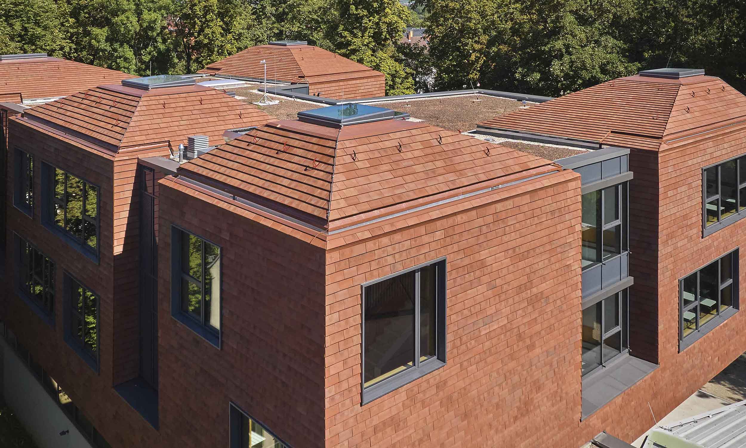 Schule in Heidelberg