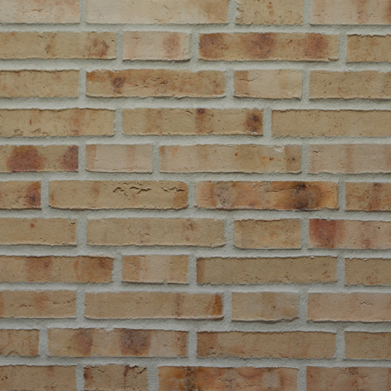 Gelbbunte Wasserstrich Verblendsteine